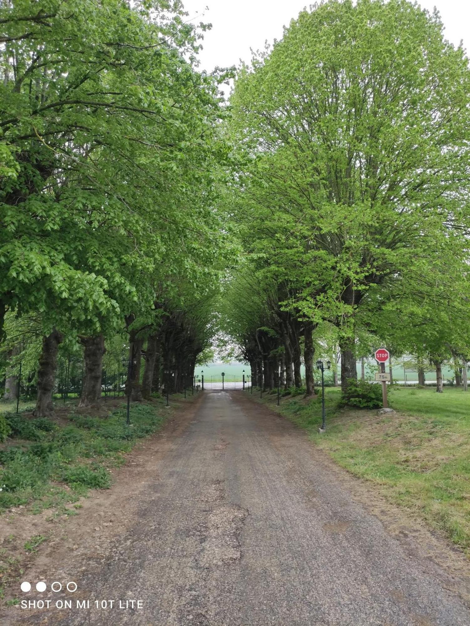 Domaine De La Ferme De Mont Bed & Breakfast Mormant Dış mekan fotoğraf